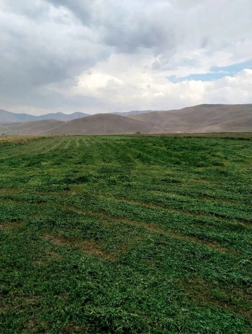 Aziziye Merkez'de Satılık Arsa