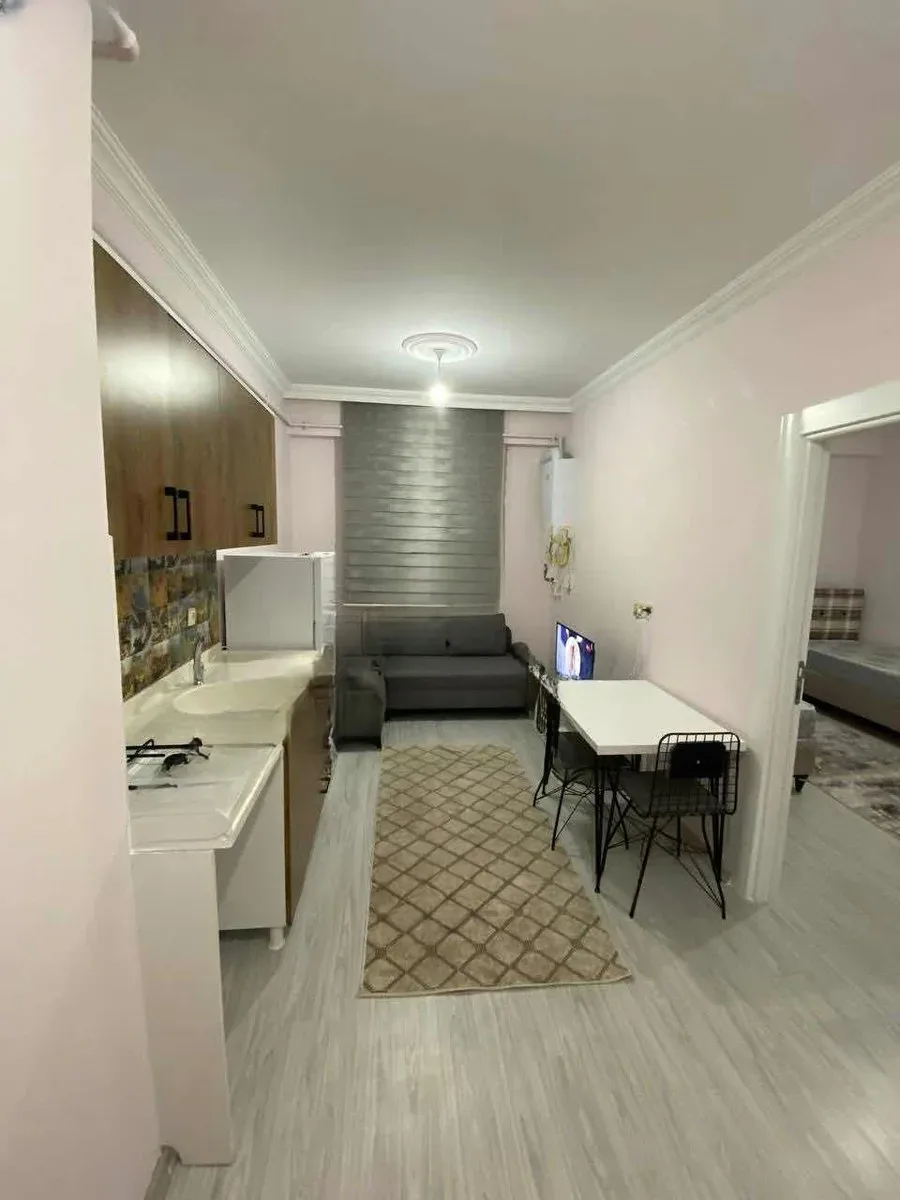 EŞYALI ERZURUM KİRALIK 1+1 DAİRE GİRİŞ KAT KAT 45M² YAKUTIYE - Fotoğraf 6