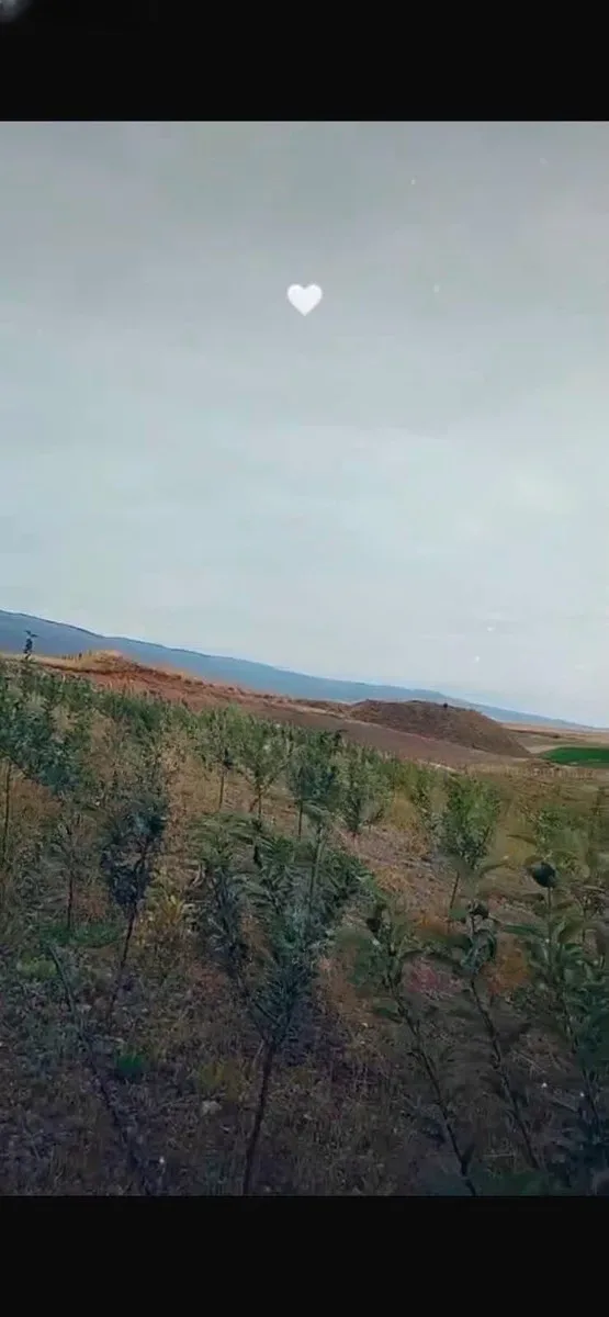 Aziziye Köyler'de Satılık Arsa - Fotoğraf 13