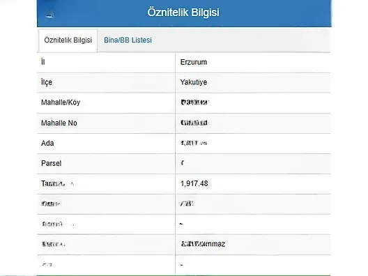 Yakutiye Cedit'te 1917 m² Satılık Arsa - 2